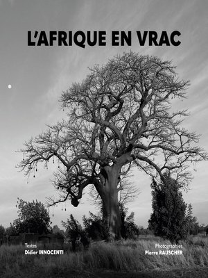 cover image of L'AFRIQUE EN VRAC